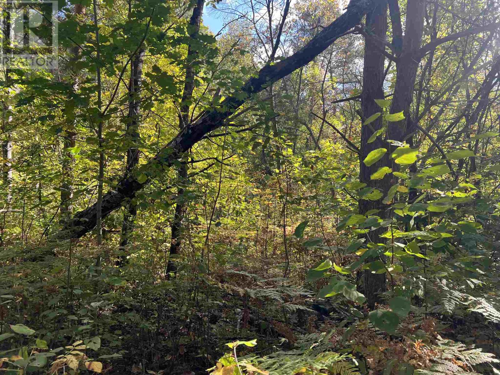 Lot 1 Glen ST, Iron Bridge, Ontario, P0R1H0 — Photo 24