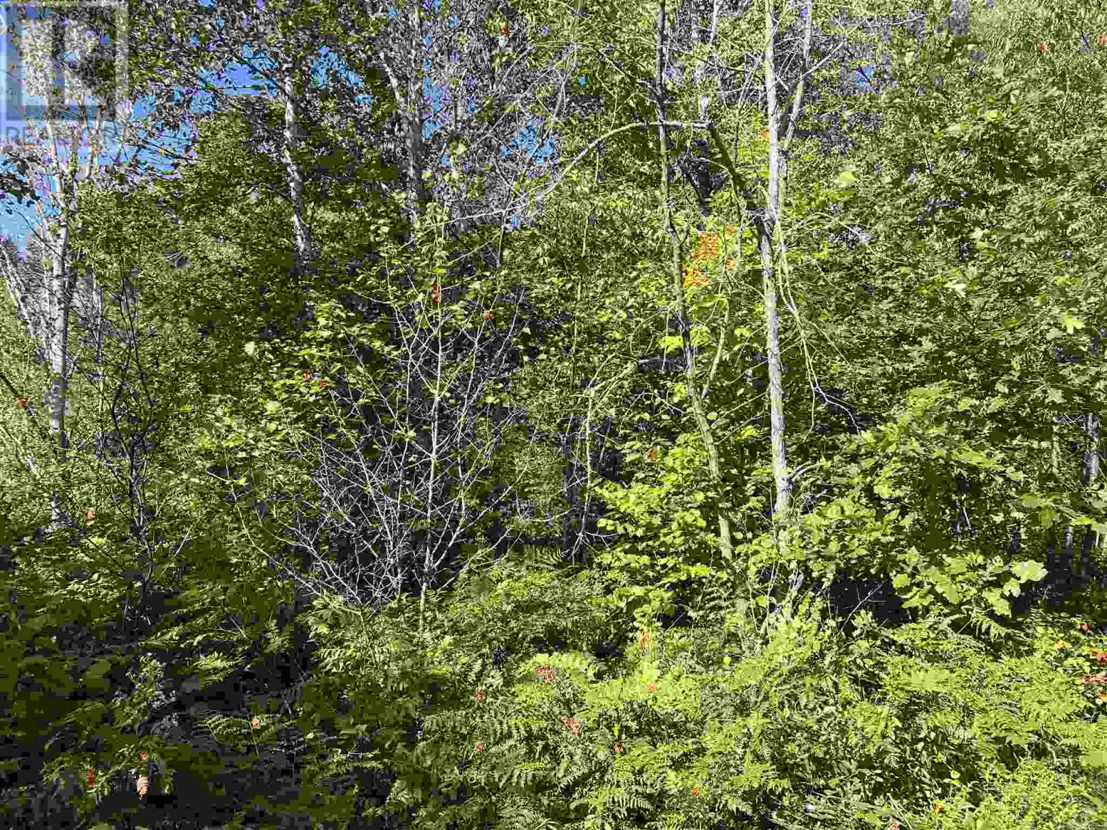 Lot 2 Glen ST, Iron Bridge, Ontario, P0R1H0 — Photo 9