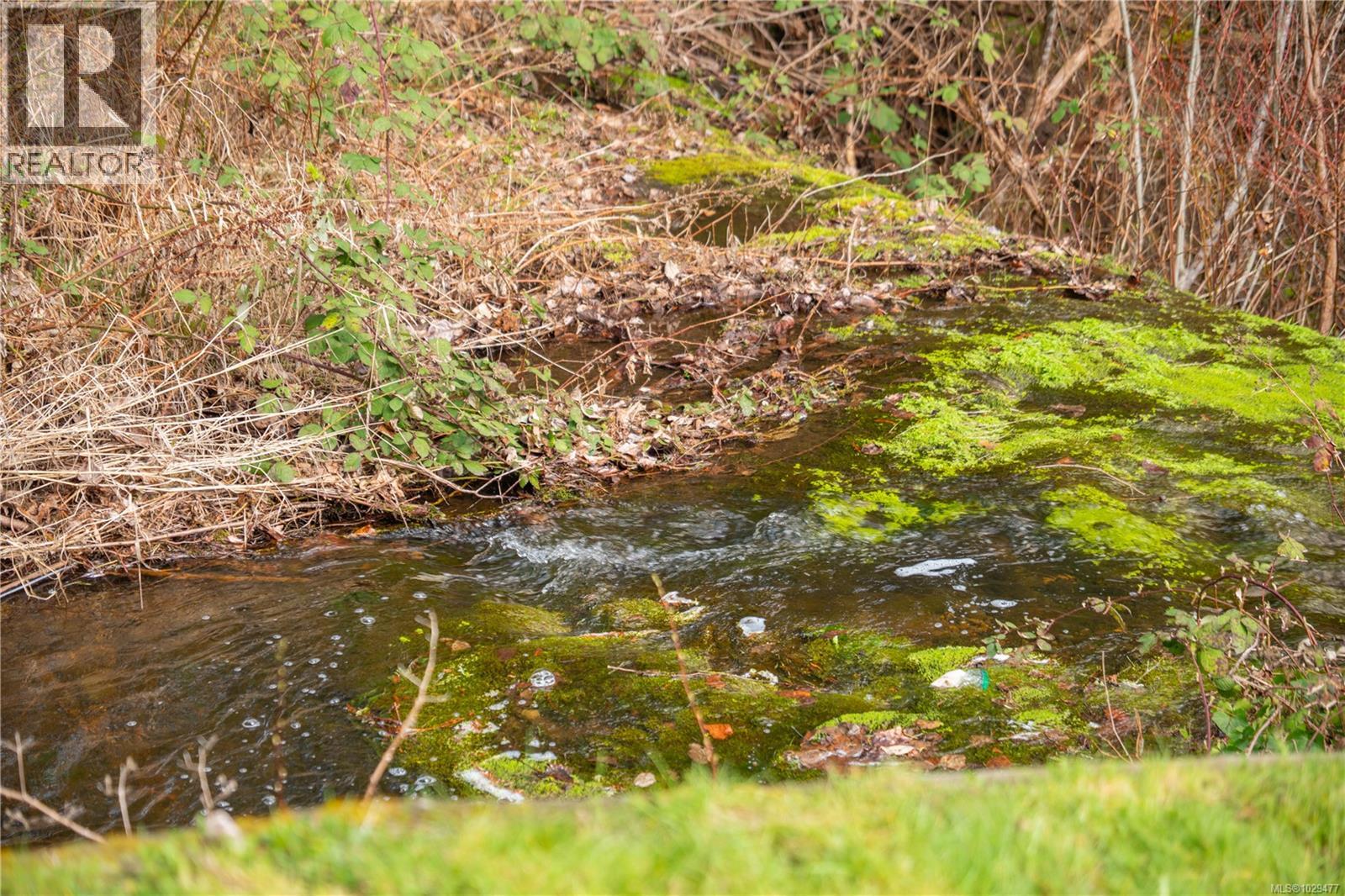 114 ROBERTA RD W - 61