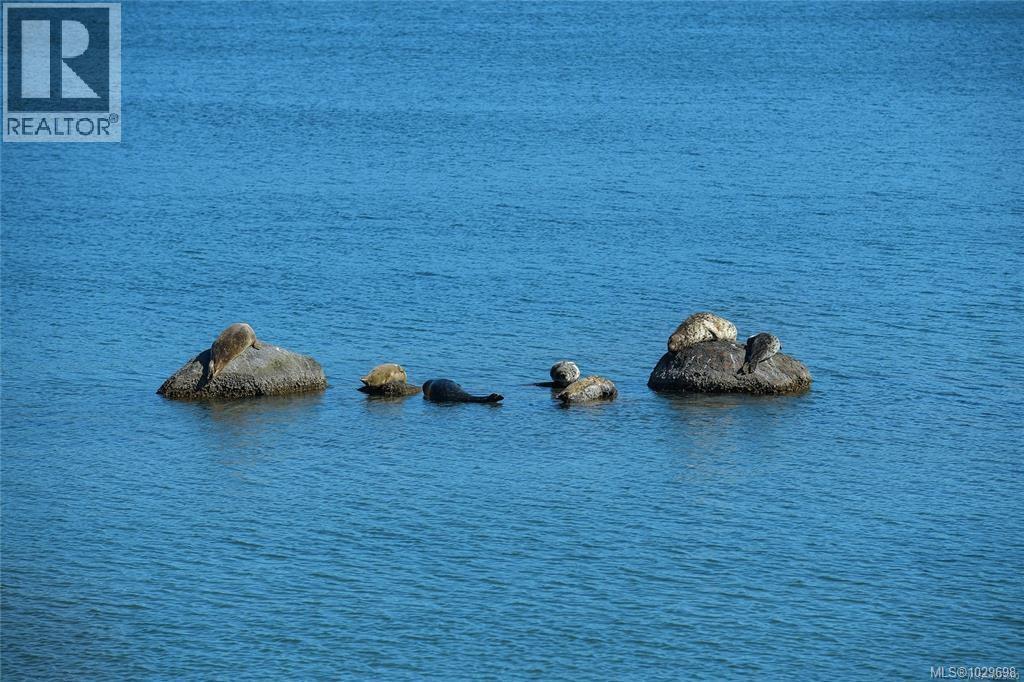 502 2234 Stone Creek Place, Sooke