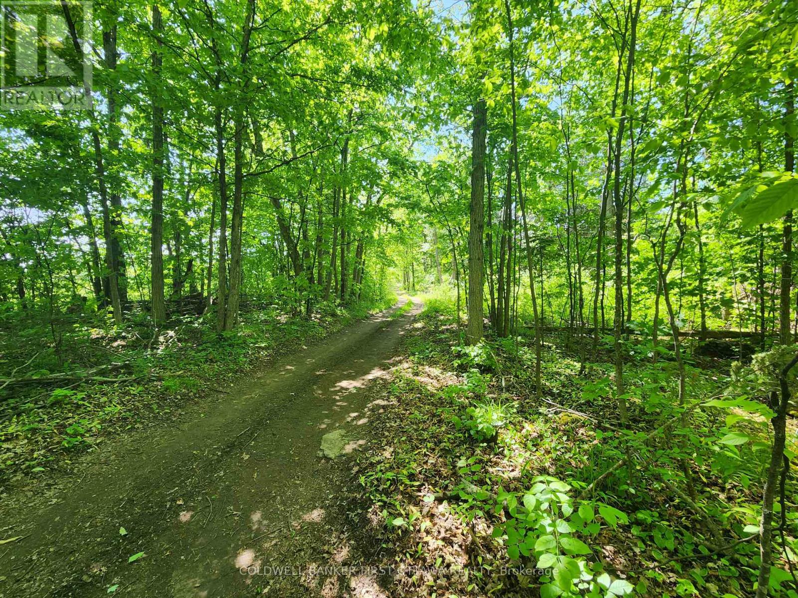 Trails throughout