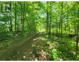 Lot 4-5 Mclellan Road, Beckwith, ON K7A4S5 Photo 25
