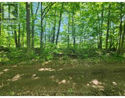 Lot 4-5 Mclellan Road, Beckwith, ON K7A4S5 Photo 26