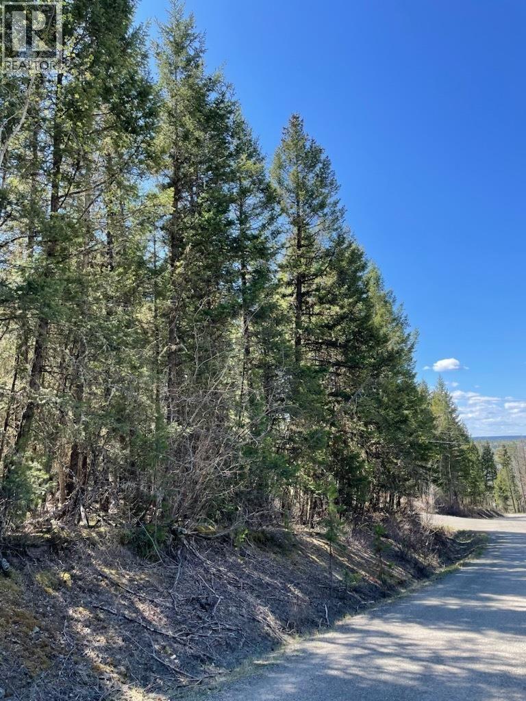 LOT 1 SUSSNEE Road - photo 2