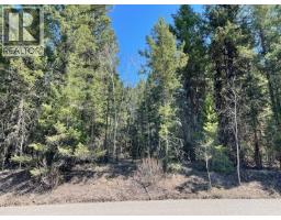 Lot 1 Sussnee Road, 108 Mile Ranch, BC V0K2Z0 Photo 6