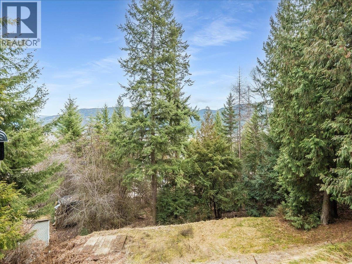 2421 12th Avenue, Castlegar