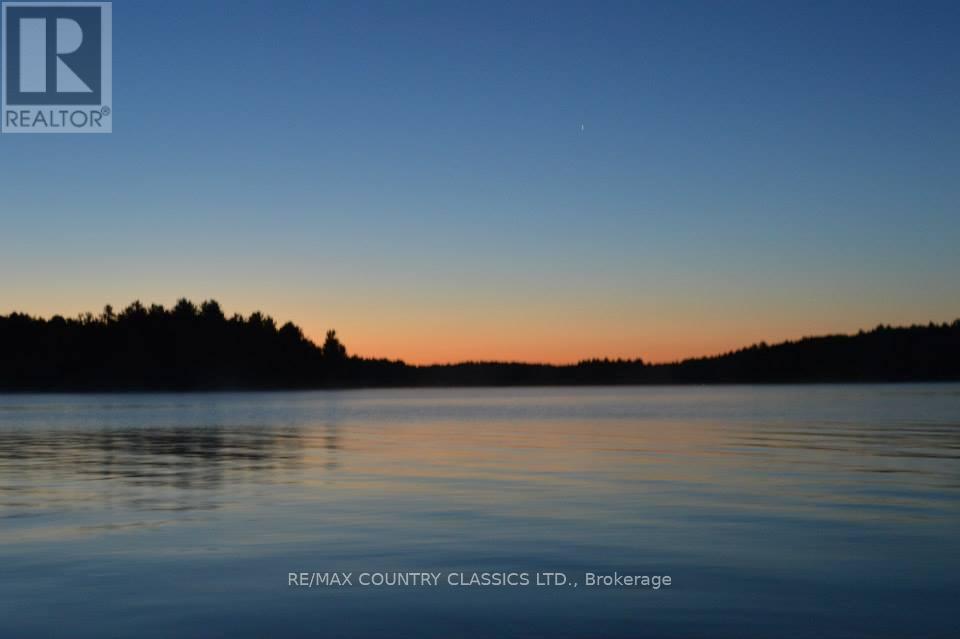 649 ANST LAKE WAO, North Kawartha, Ontario, K0L1A0 — Photo 41