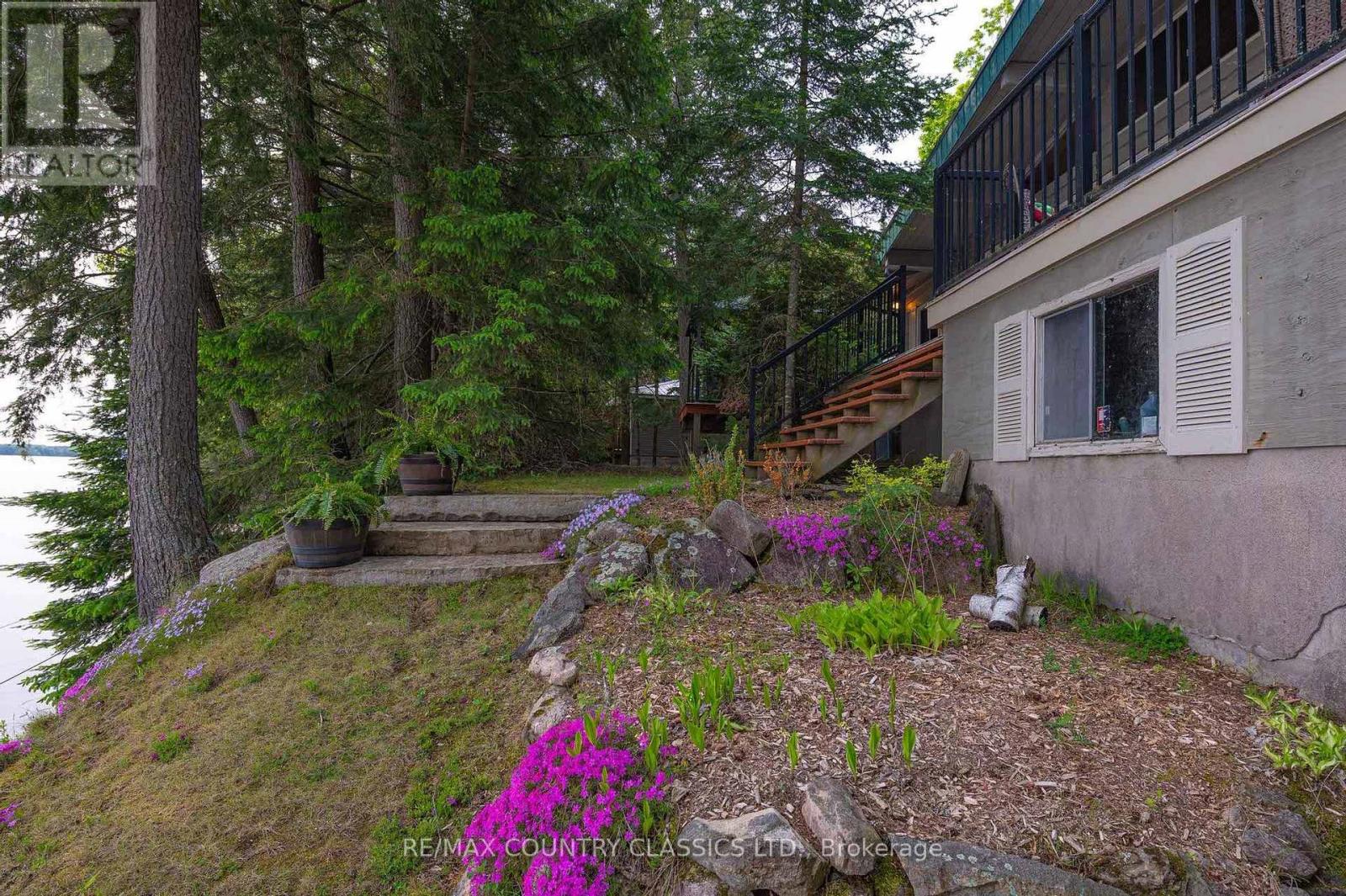 217 MOFFAT ROAD - 20
