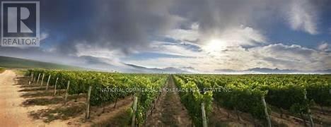 44-55 NIAGARA STONE ROAD N