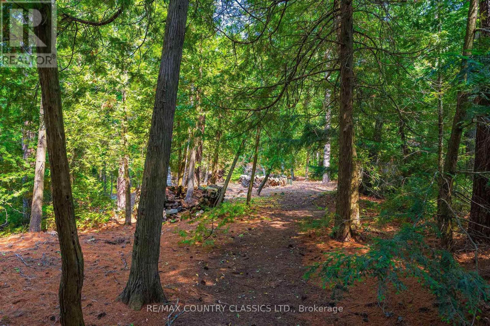 22 CHANDOS LK BALMER ISLAND - 35