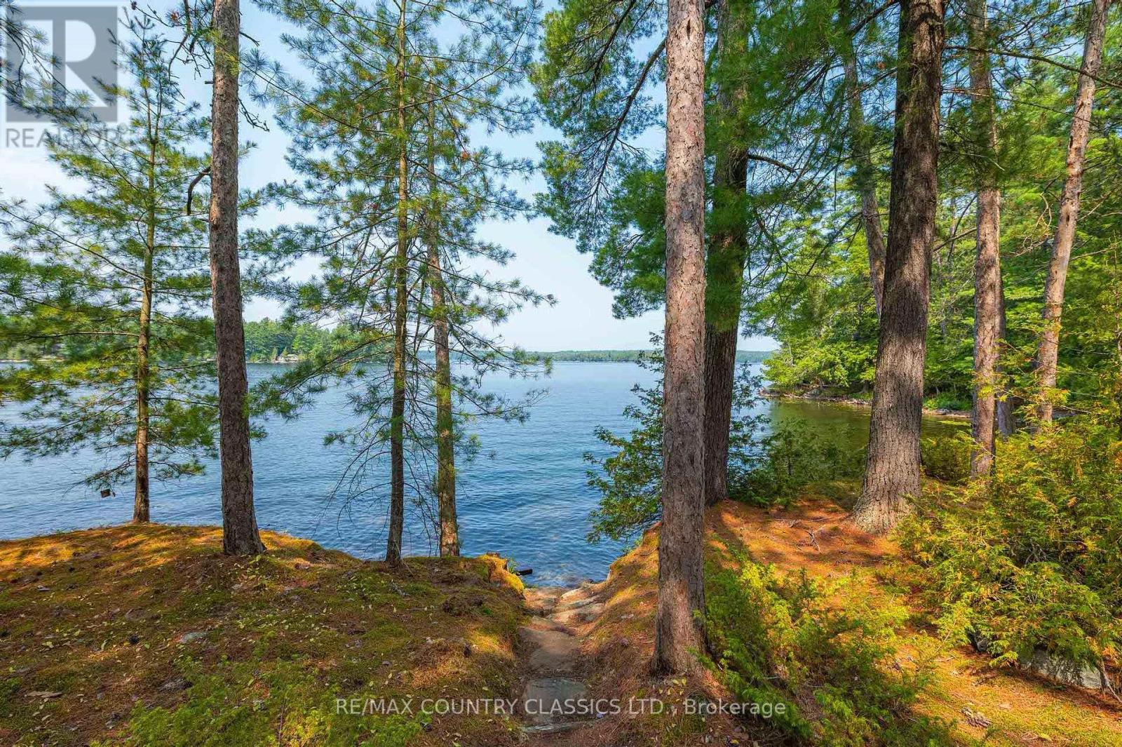 22 CHANDOS LK BALMER ISLAND - 8