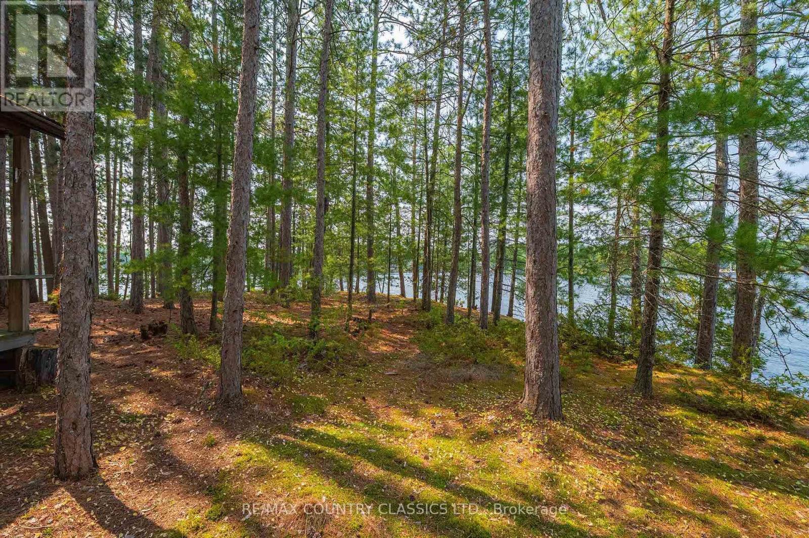 22 CHANDOS LK BALMER ISLAND - 9