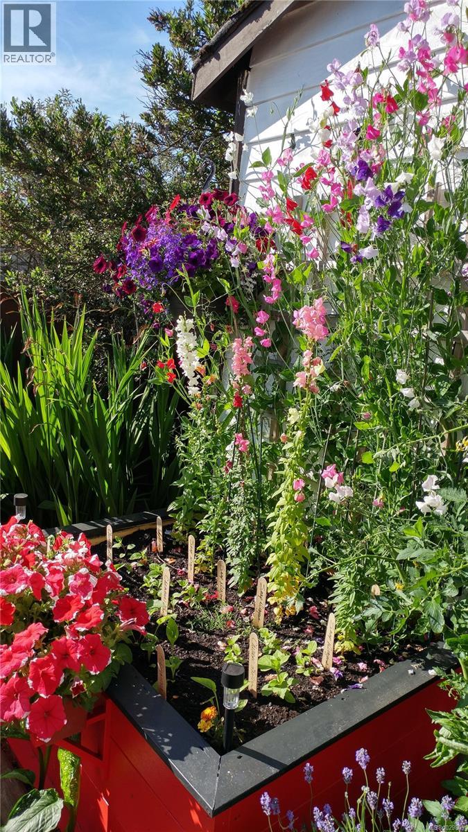 #51 1555 MIDDLE RD - 37