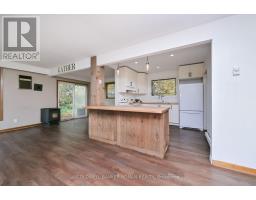 6336 Concession Road 7, Adjala Tosorontio, ON L0M1J0 Photo 18