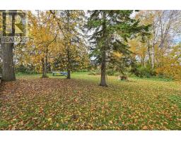 6336 Concession Road 7, Adjala Tosorontio, ON L0M1J0 Photo 31