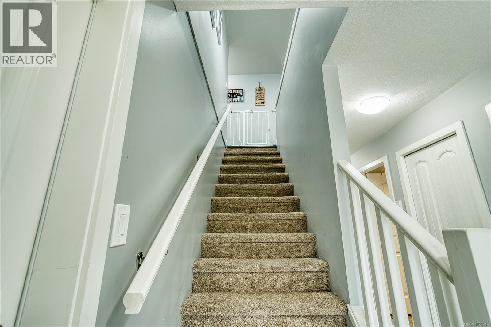 1098 SHELBY ANN AVE - 38