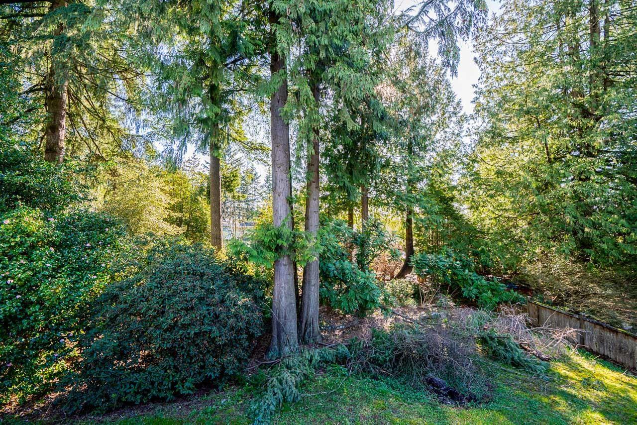 8689 DELCREST Drive, Delta