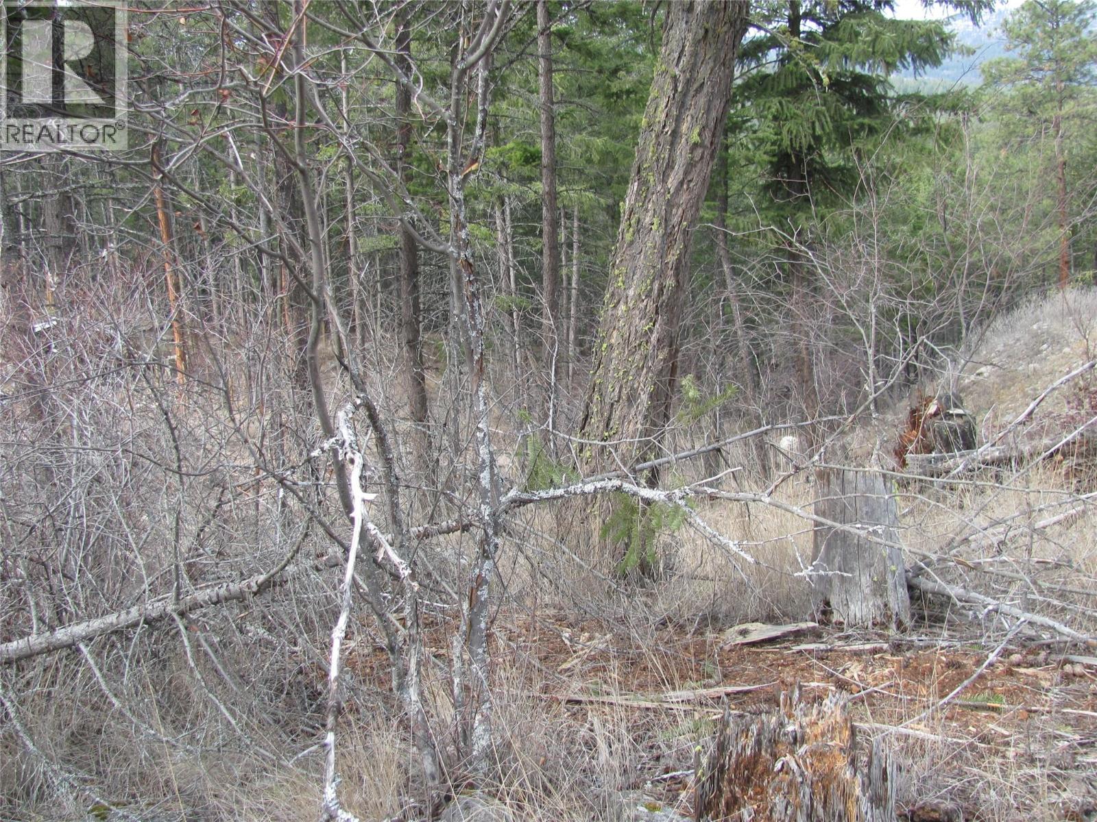  Dunwaters Road, Fintry