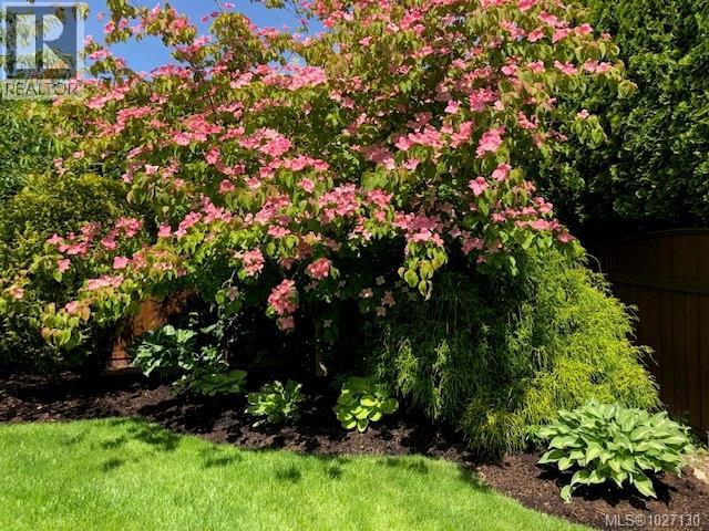 1856 CARDIFF CRES - 41