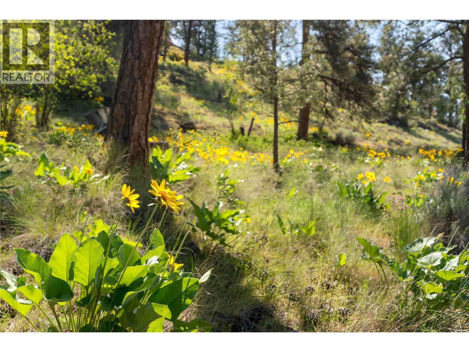  1252 Kyndree Court, Kelowna