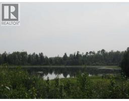 54083a 35-1a Township, Rural Clearwater County, AB T0M0M0 Photo 39