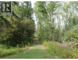 54083a 35-1a Township, Rural Clearwater County, AB T0M0M0 Photo 44