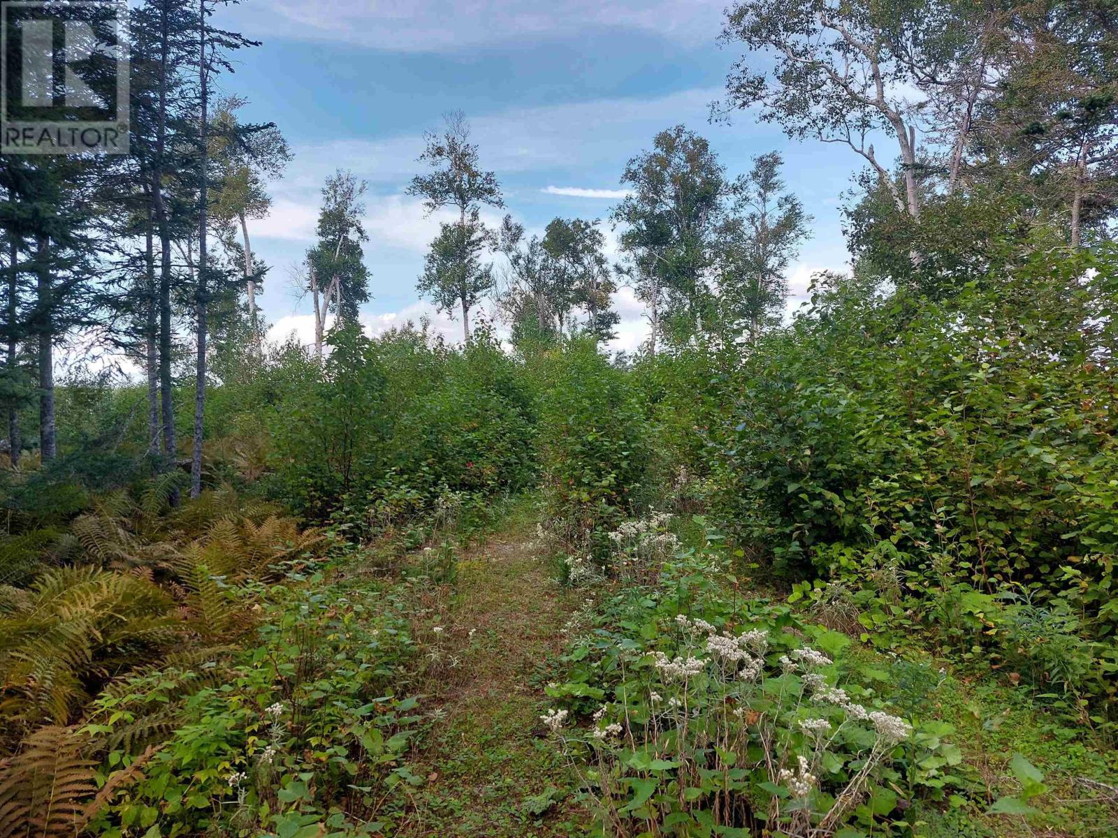 Property 14 of 18 of Lot 23 Sky Way