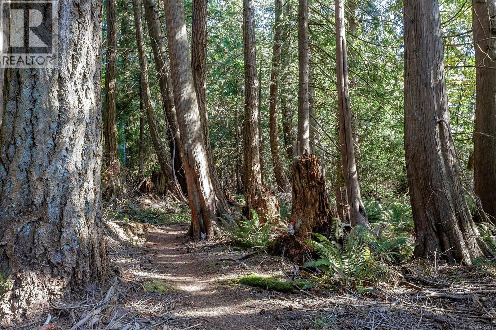  10741 Chemainus Road, Ladysmith