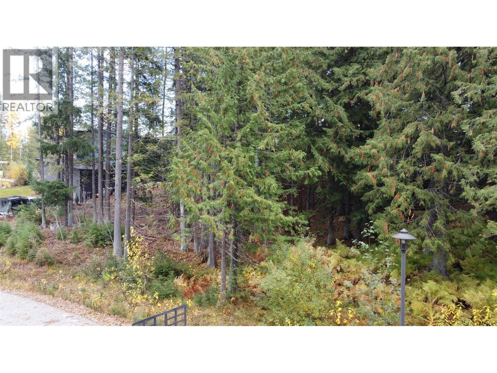 210 CEDAR CREEK Place, Rossland