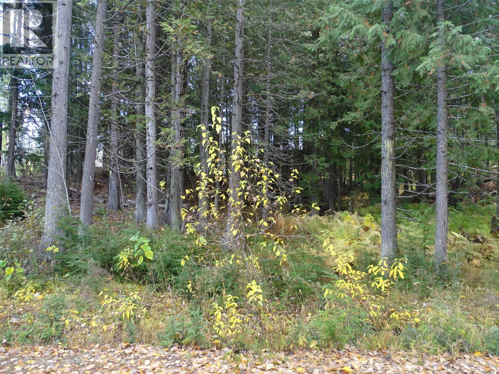 210 CEDAR CREEK Place, Rossland