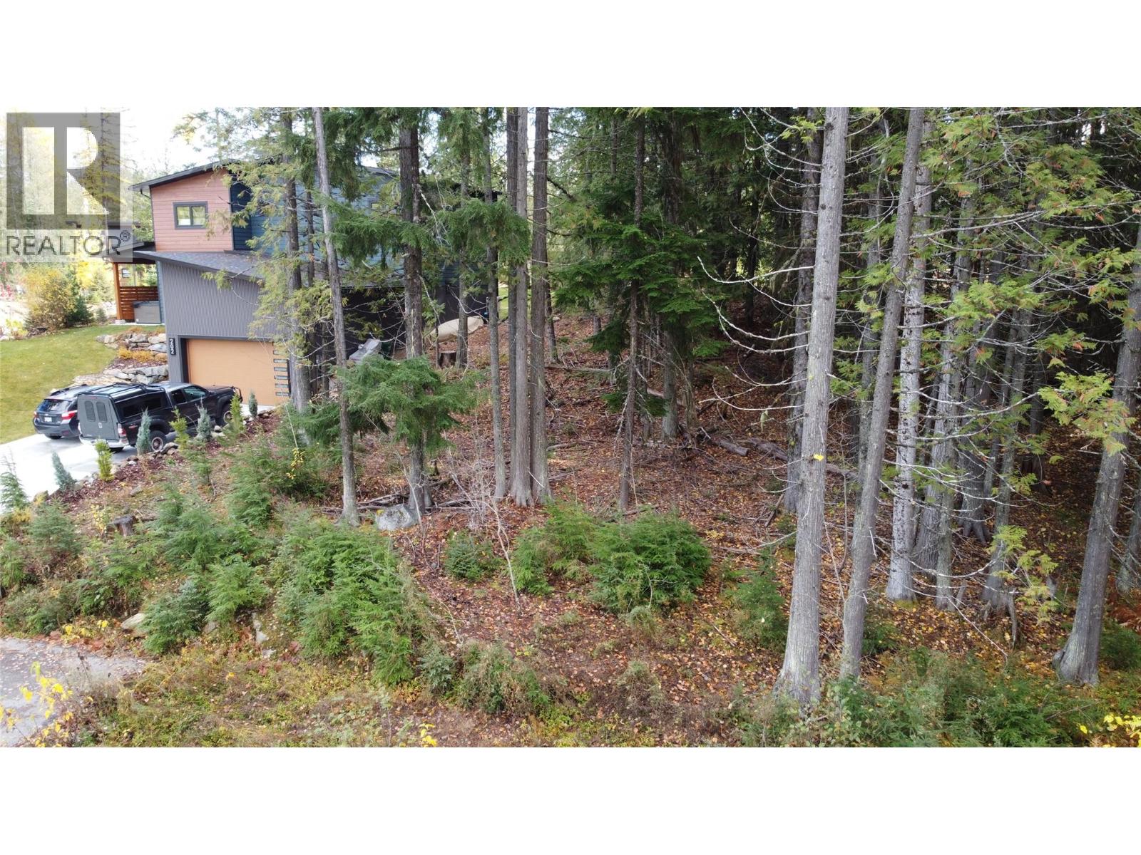 206 CEDAR CREEK Place, Rossland