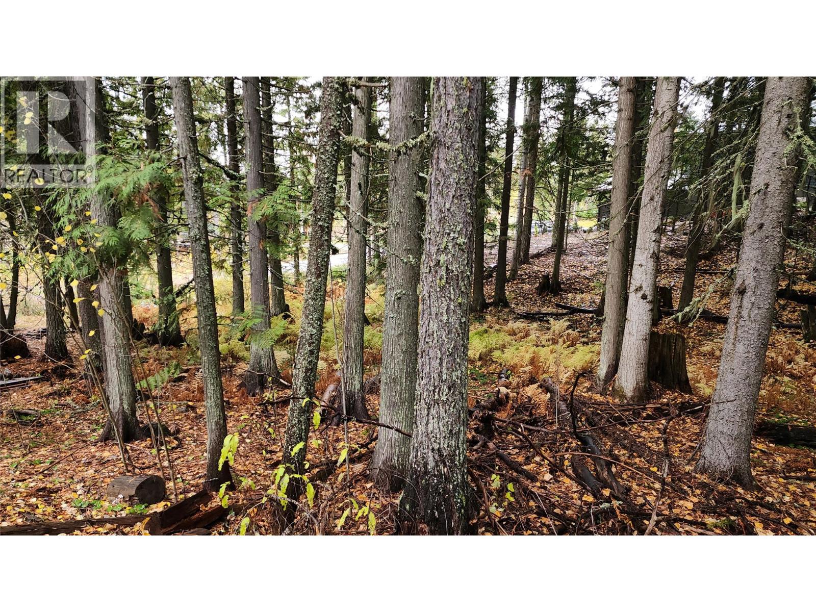 206 CEDAR CREEK Place, Rossland