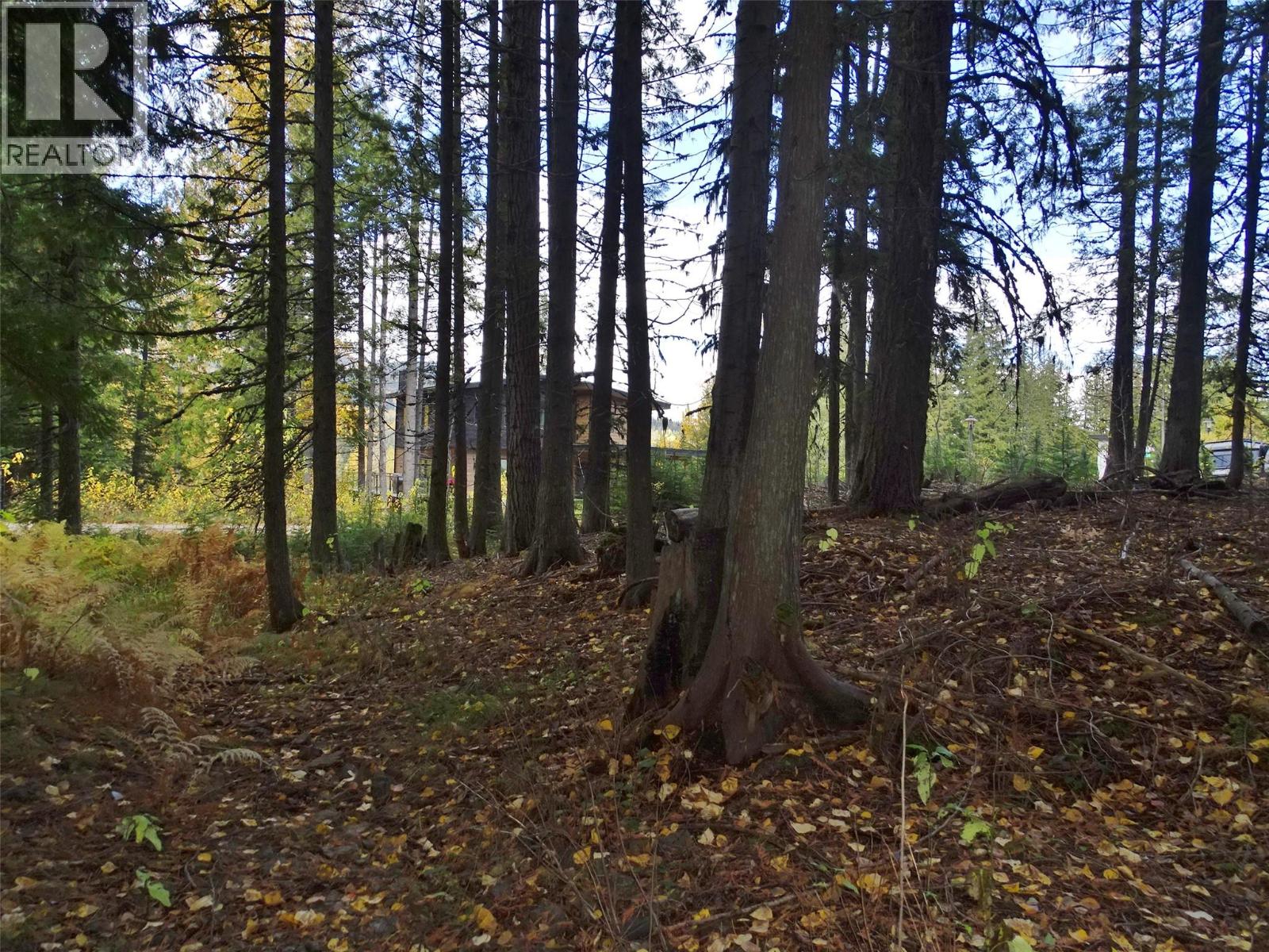 206 CEDAR CREEK Place, Rossland