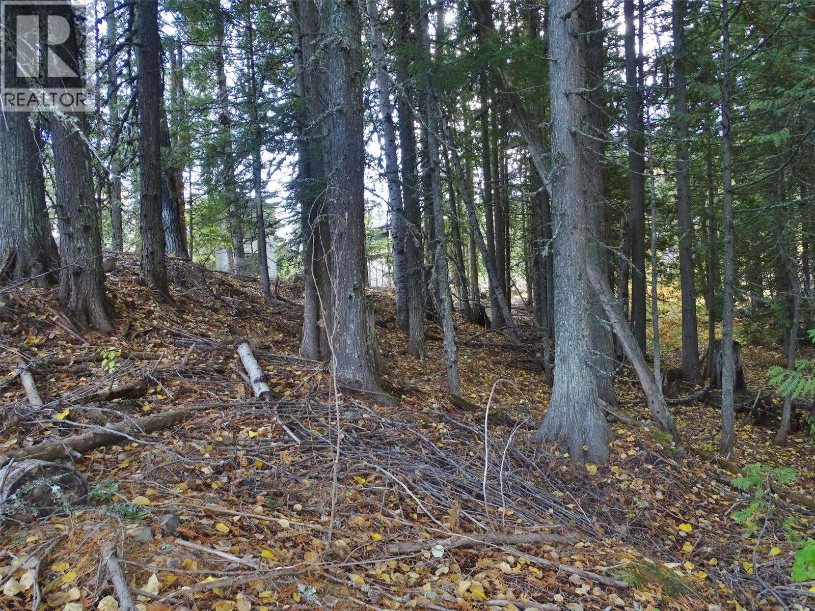 206 CEDAR CREEK Place, Rossland