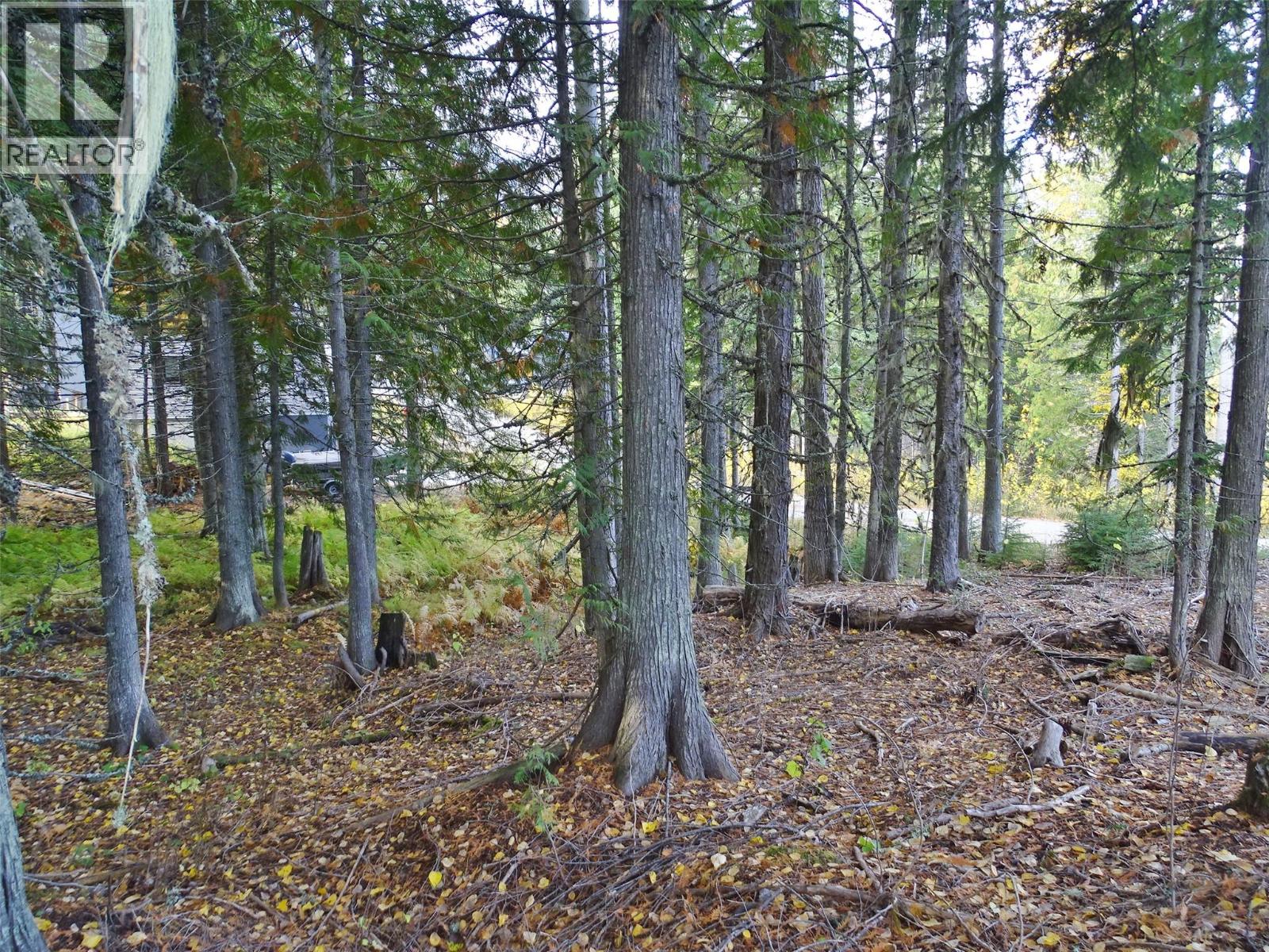 206 CEDAR CREEK Place, Rossland