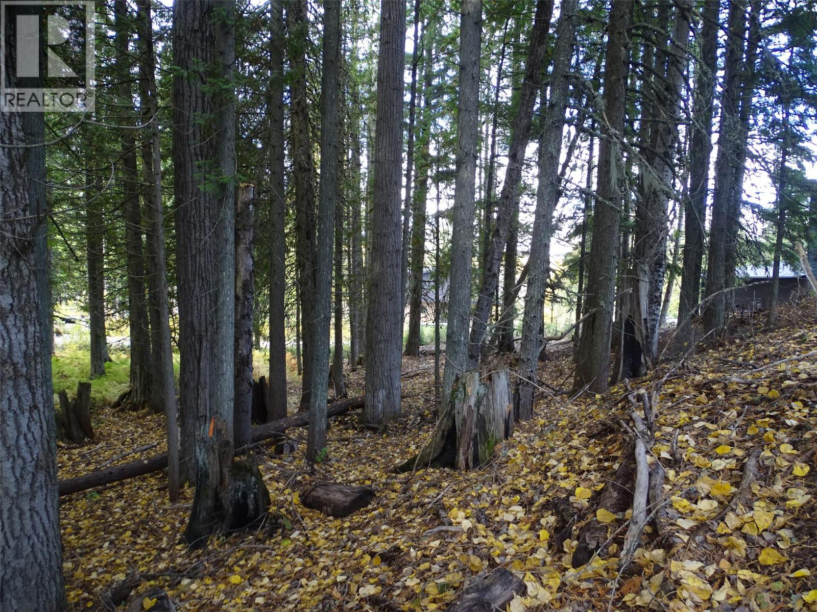 206 CEDAR CREEK Place, Rossland