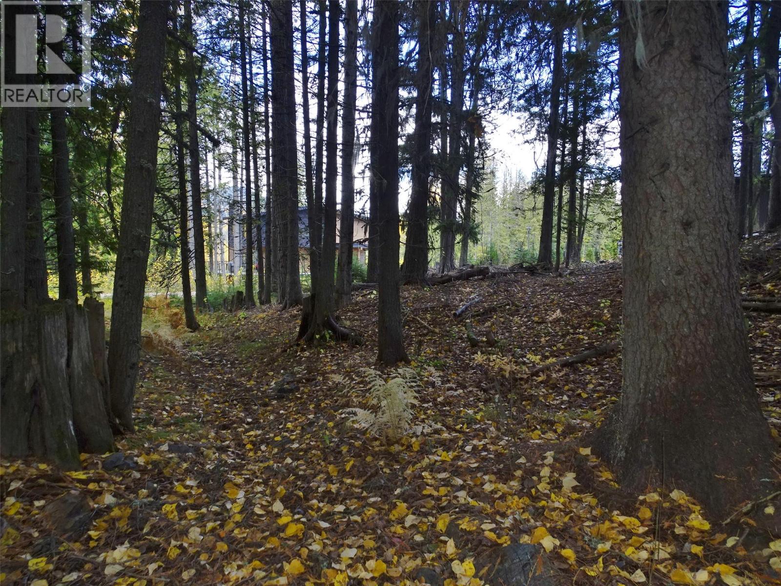 206 CEDAR CREEK Place, Rossland