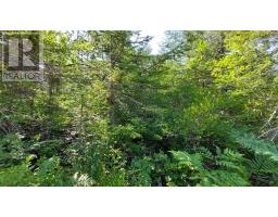 70 Acre Highway 4, Grande Anse, NS B0E1J0 Photo 8