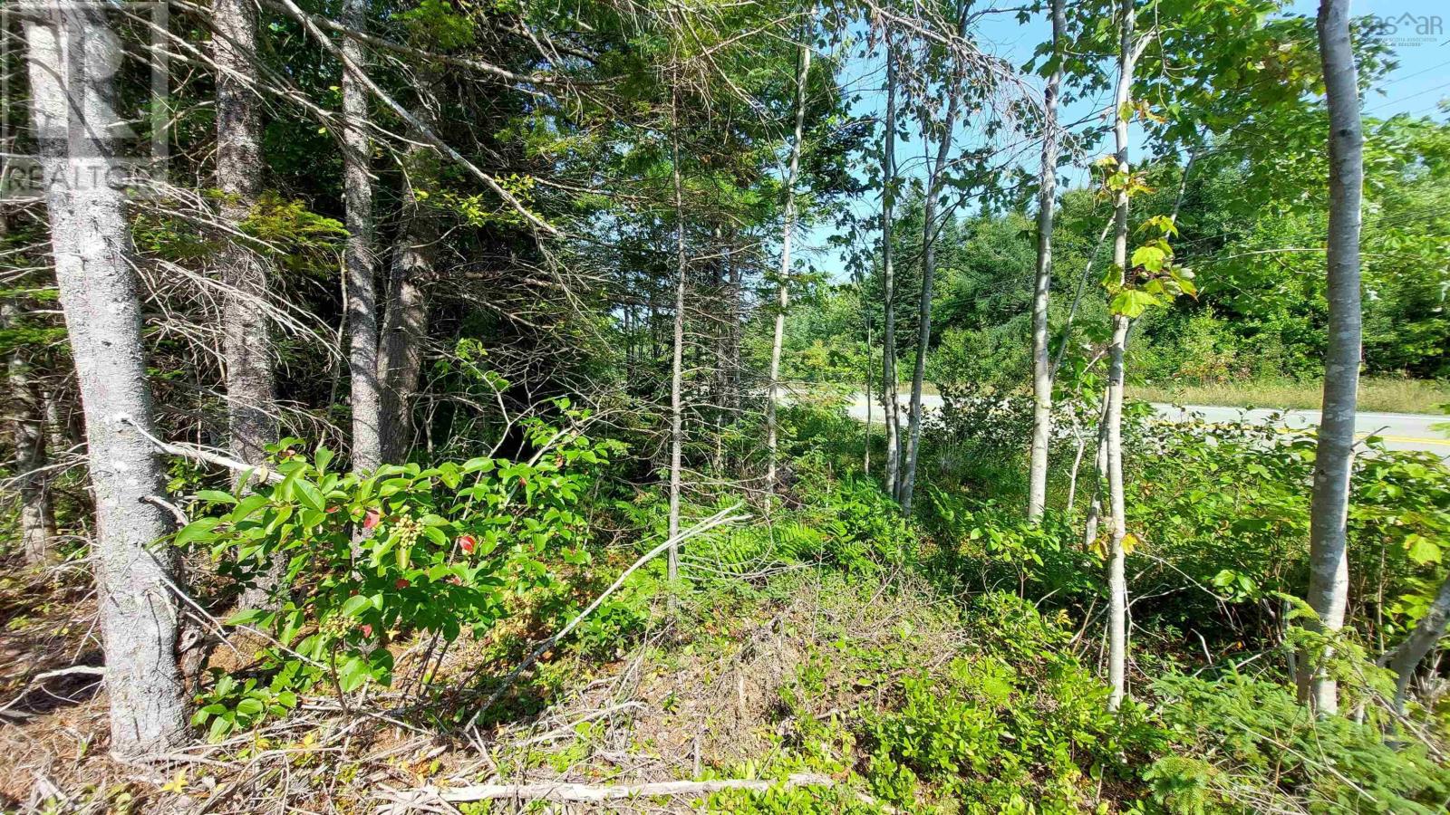 Property 11 of 12 of 70 acre Highway 4