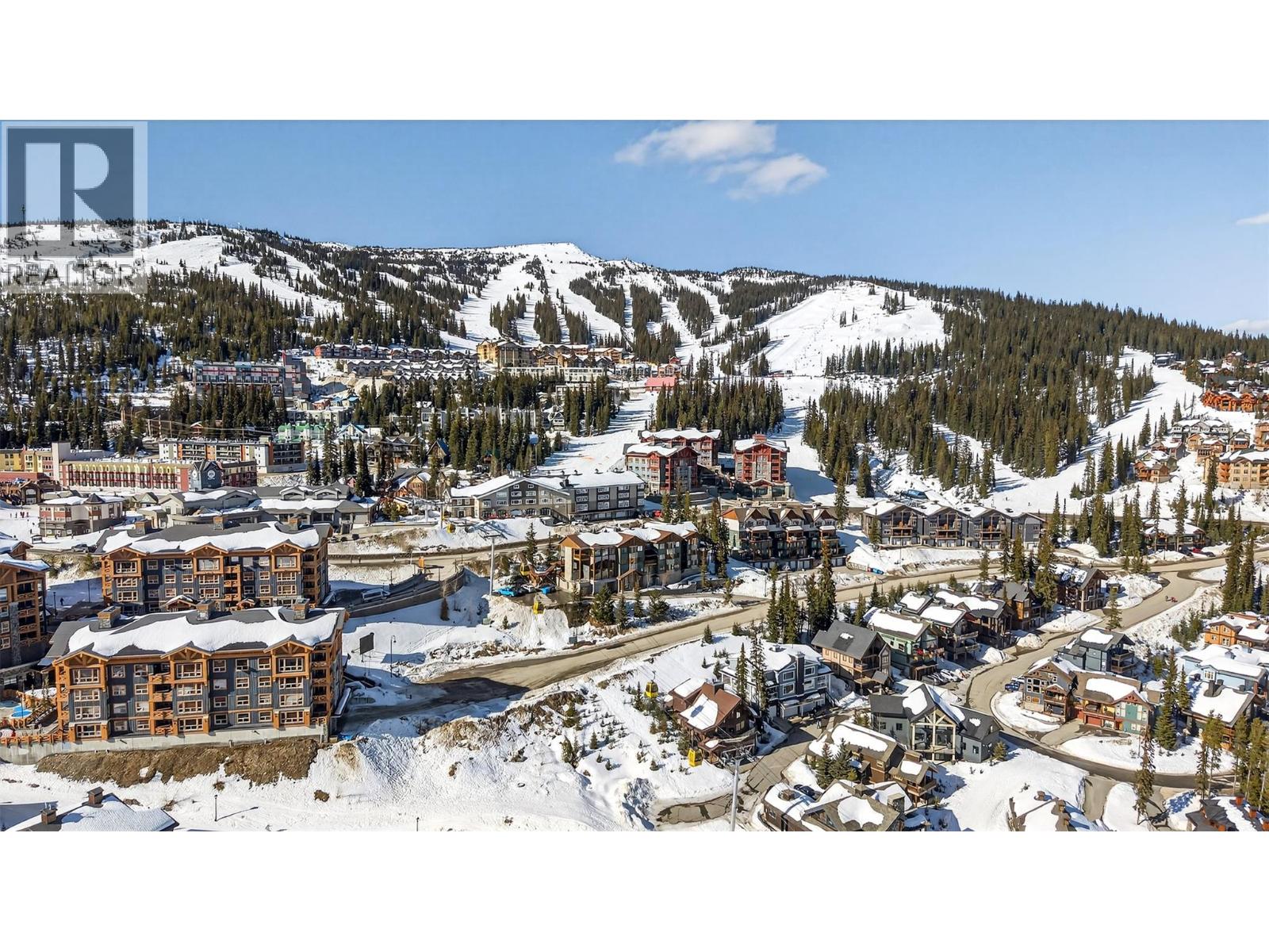 201 295 Raven Ridge Road, Big White