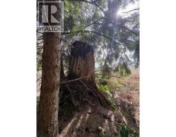 Lot D Woodland Avenue, Gibsons, BC V0N1V6 Photo 12