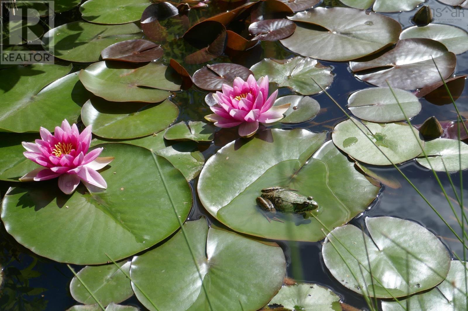 Property 41 of 49 of 7617 Shore Road