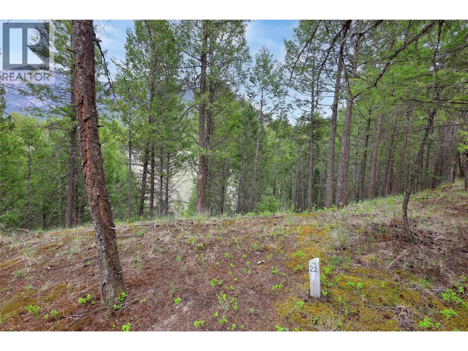 4862 Lynx Drive, Radium Hot Springs