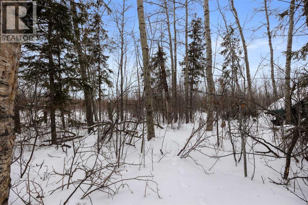 312 Ermine Crescent, Fort McMurray