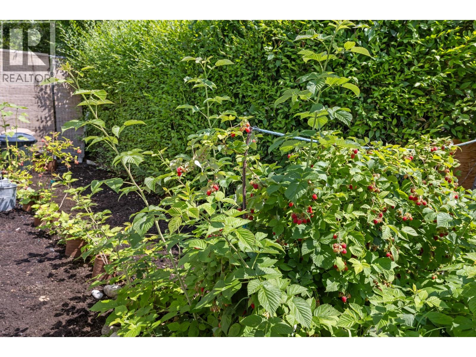  987 Garland Street, Kelowna