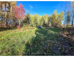 Pcl5224 Little Road, Englehart, ON P0J1H0 Photo 13