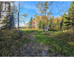 Pcl5224 Little Road, Englehart, ON P0J1H0 Photo 14