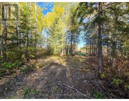 Pcl5224 Little Road, Englehart, ON P0J1H0 Photo 15