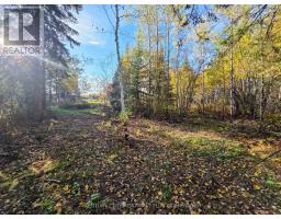 Pcl5224 Little Road, Englehart, ON P0J1H0 Photo 16