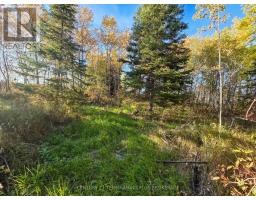 Pcl5224 Little Road, Englehart, ON P0J1H0 Photo 18